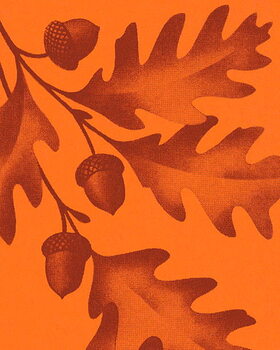 Illustration Fall Leaves and Acorns