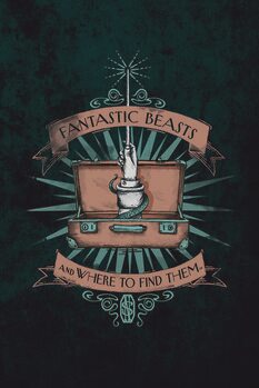 Art Poster Fantastic Beasts - Magic case