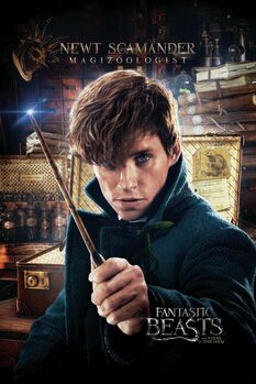 Art Poster Fantastic Beasts - Newt Scamander