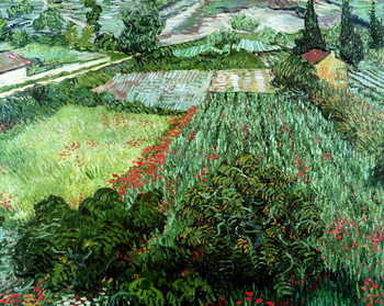 Reprodução do quadro Field with Poppies, 1889