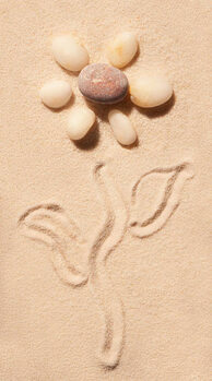 Kuva Flower of sea stones drawn on