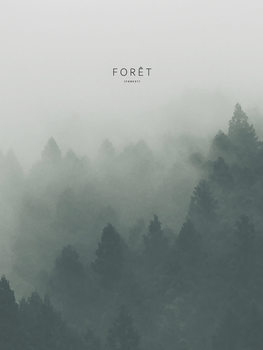 Illustration foret2