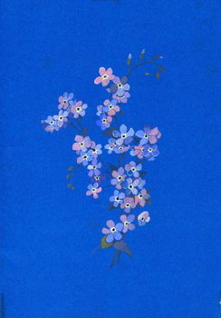 Fine Art Print Forget-me-not, 1960s