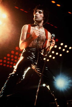 Reprodução do quadro Freddie Mercury on Stage in Wembley in 1978
