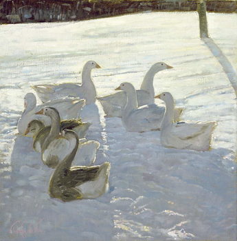 Taidejuliste Geese Against the Light