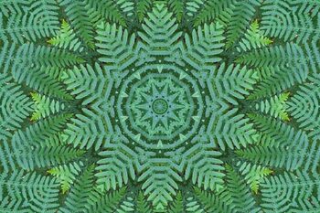 Illustration Green Ferns Pattern