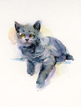 Fine Art Print Grey kitten, 2017,
