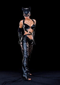Taidejäljennös Halle Berry, Catwoman 2004