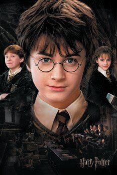 Impressão de arte Harry Potter - a Câmara dos Segredos