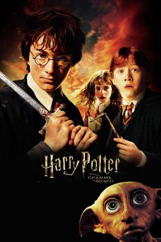 Impressão de arte Harry Potter - Chamber of secrets