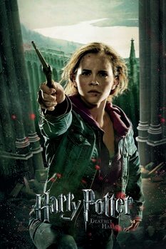 Impressão de arte Harry Potter - Hermione Granger
