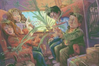 Impressão de arte Harry Potter - Mimbulus Mimbletonia