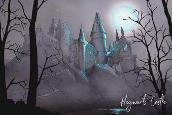 Impressão de arte Harry Potter - Nocturnal Hogwarts Castlle