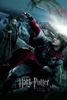 Impressão de arte Harry Potter - O Cálice de Fogo - Harry