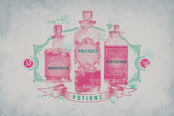 Taidejuliste Harry Potter - Potions
