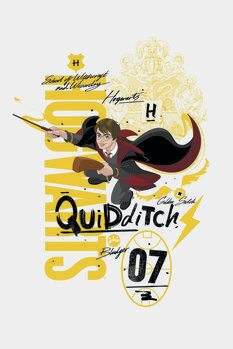 Impressão de arte Harry Potter - Quidditch 07