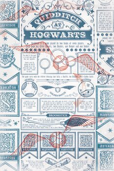 Impressão de arte Harry Potter - Quidditch at Hogwarts