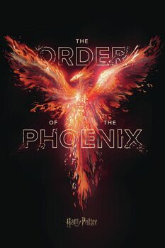 Taidejuliste Harry Potter -the order of the phoenix