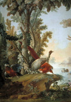 Taidejuliste Herons and parrots