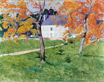 Reprodução do quadro House among trees, 1888