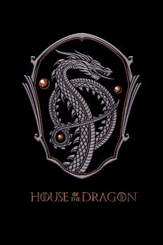 Taidejuliste House of Dragon - Dragon Shield