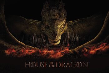 Impressão de arte House of the Dragon - Dragon's fire