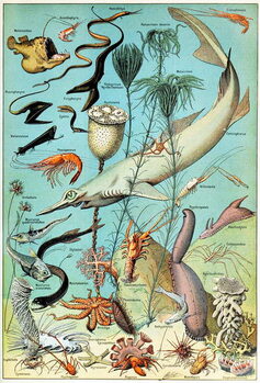 Fine Art Print Illustration of a Deep sea underwater scene  c.1923