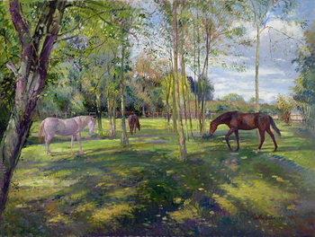 Taidejuliste In the Rectory Paddock, 1993