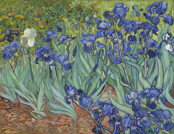 Reprodução do quadro Irises, 1889