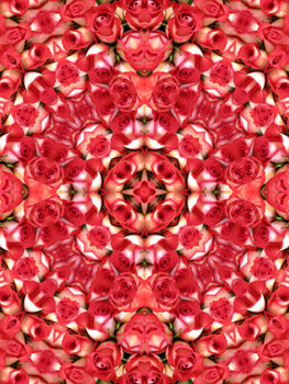 Illustration Kaleidoscopic pattern of red roses