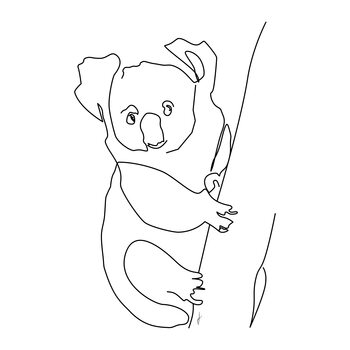 Illustration Koala