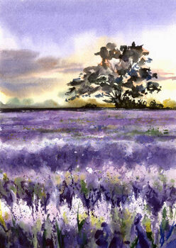 Ilustração Lavender field and tree.