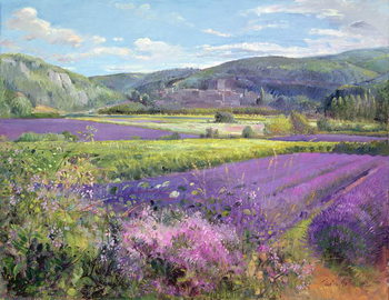 Taidejäljennös Lavender Fields in Old Provence