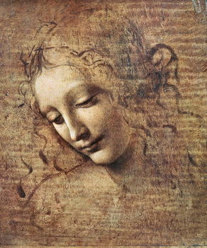 Reprodução do quadro Leonardo da Vinci - Head of a Young Woman