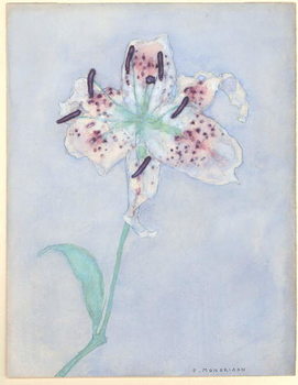 Reprodução do quadro Lily, after 1921