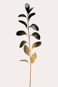 Illustration Monochromatica No.9