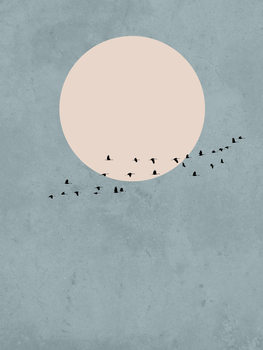 Ilustração moonbird1