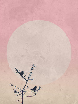 Ilustração moonbird8
