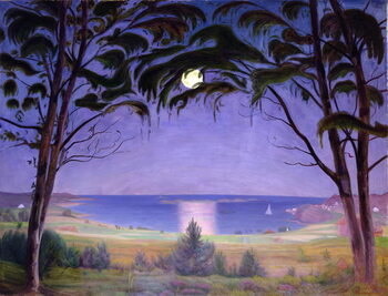 Reprodução do quadro Moonlight, Nevlunghavn, 1922
