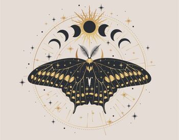 Ilustração Mystic gold moth isolated vector illustration.