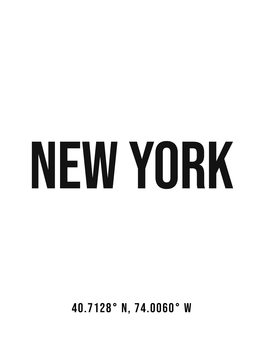 Kuva New York simple coordinates