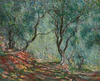 Reprodução do quadro Olive Trees in the Moreno Garden, 1884