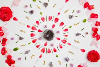 Illustration Overhead view of flower petals decorated
