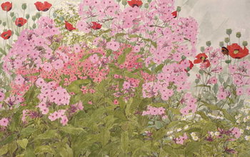 Reprodução do quadro Pink Phlox and Poppies with a Butterfly