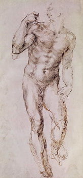 Reprodução do quadro Sketch of David with his Sling, 1503-4