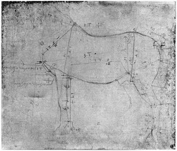 Reprodução do quadro Study of a Horse (metal point on paper)