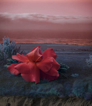 Impressão de arte Surreal Giant flower rose