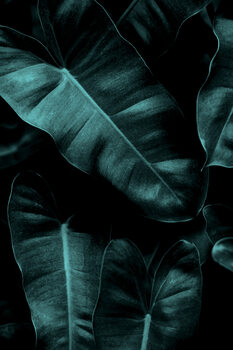 Illustration The Beach