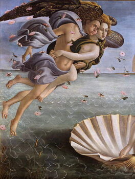 Reprodução do quadro The birth of Venus (detail), 1484