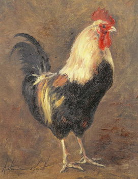 Reprodução do quadro The Cockerel, 1999
